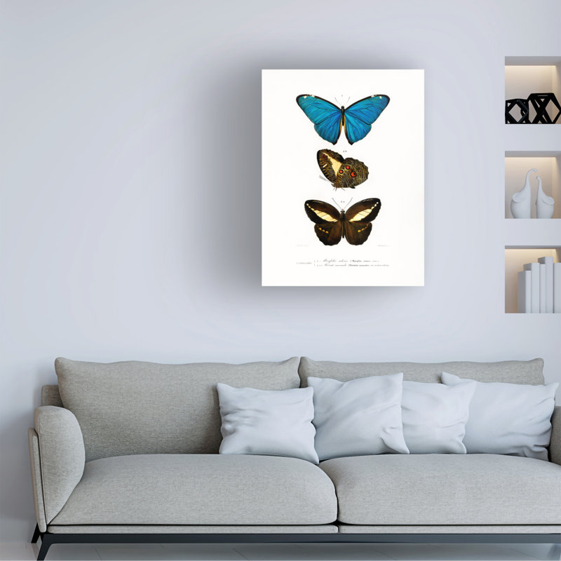 Œuvre sur toile, Bachelor Charles Dessalines D, Différents types de papillons II, H 24 po x l 18 po
