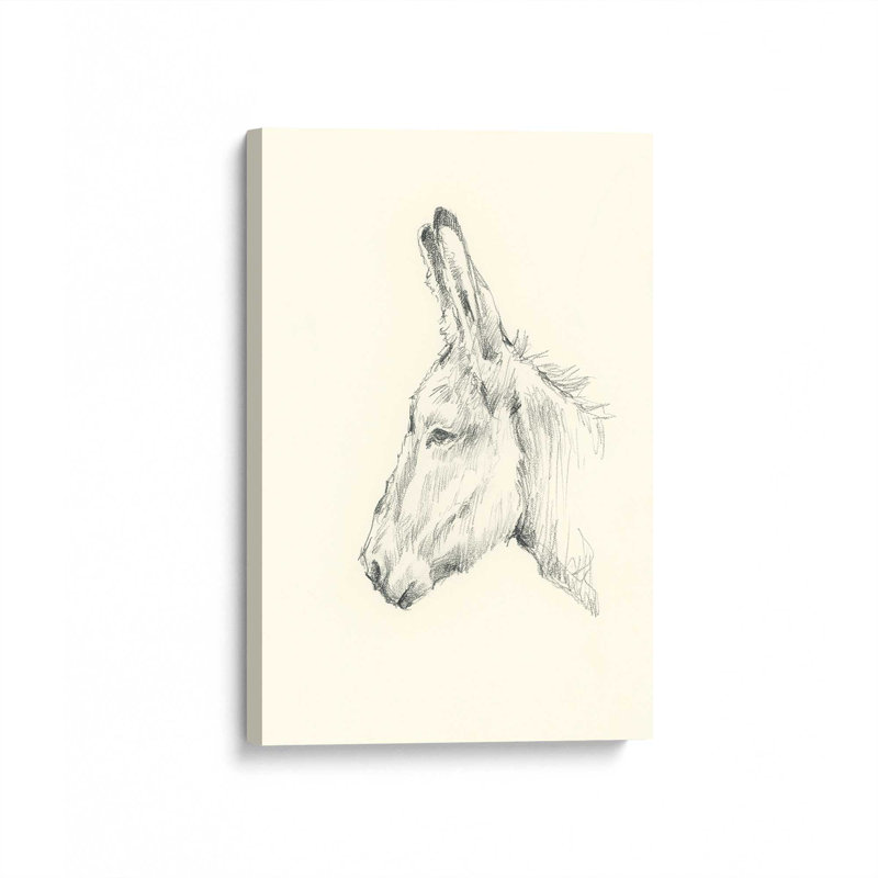 «Donkey Study II» par Ethan Harper, reproduction d'art sur toile, Sans objet, H 32 po x l 24 po, Toile tendue