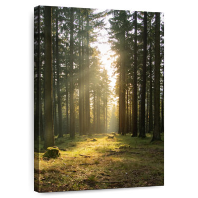 Forêt allemande de Kerrick au printemps