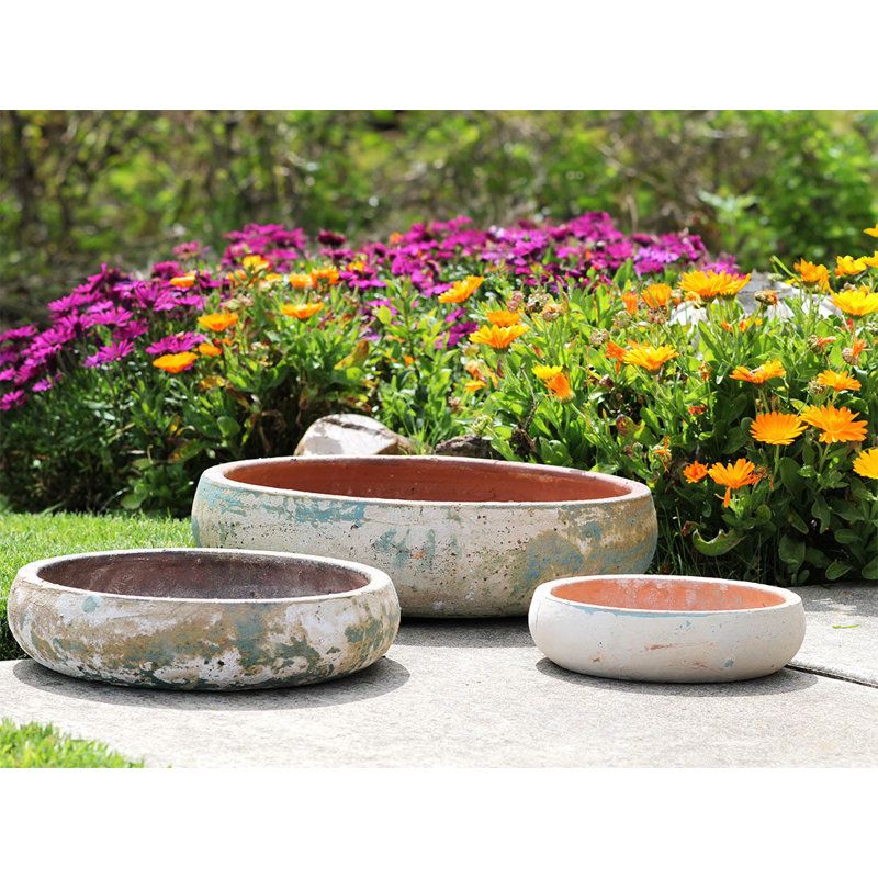 Succulent Bowl By 