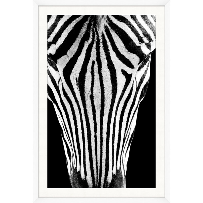 Dynamic Zebra 2 Print by Mat Sanders