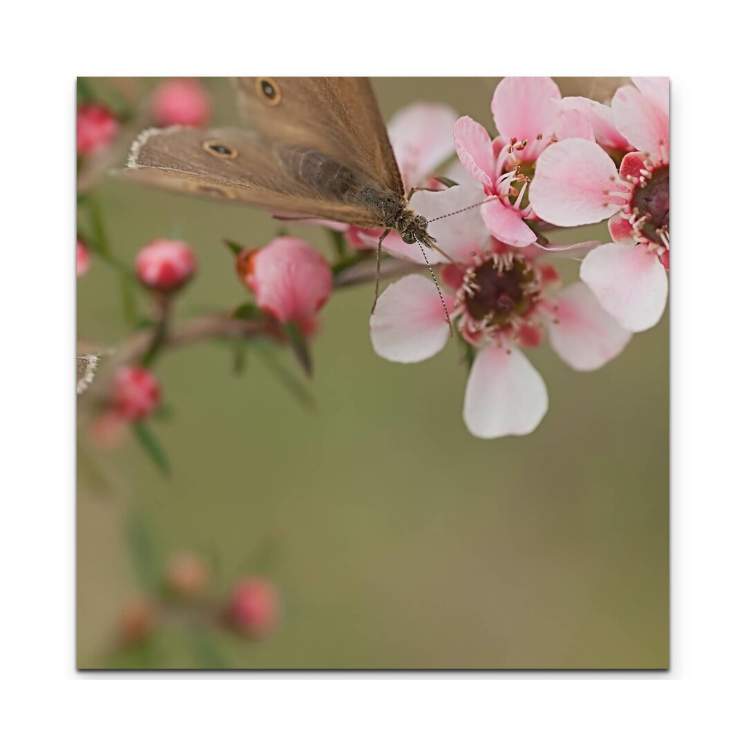 Leinwandbild Rosa blühende Myrtenzweige mit Schmetterlingen