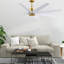 Ariella - Eight Blade Ceiling Fan - Brushed Brass Finish - Matte Black Blades-1855432163-1855432166