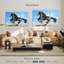 Cheval frison Brampt-108097167