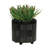 S/2 6/8" TEXTURED PLANTERS-610032954