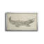 Croquis de crocodile - toile encadrée de qualité supérieure - prête à être accrochée-1252355835-1252355828