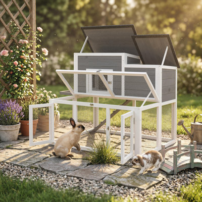 Rabbit, Guinea Pig Hutch