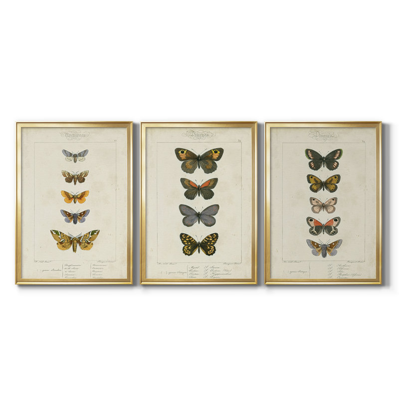 «Mauve Butterflies IV» - Toile tendue avec châssis sur mesure - 3 pièces, H 15 po x l 19 po, Doré