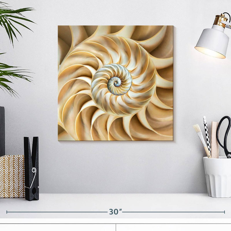 Aletra Nautilus Symmetry, H 16 po x l 16 po