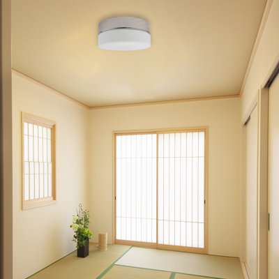 LED Flush Mount