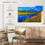 Alvord Grand Teton, fleurs sauvages-107702888