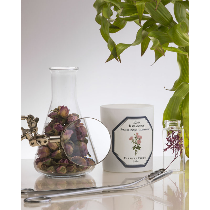 Damask Rose Candle