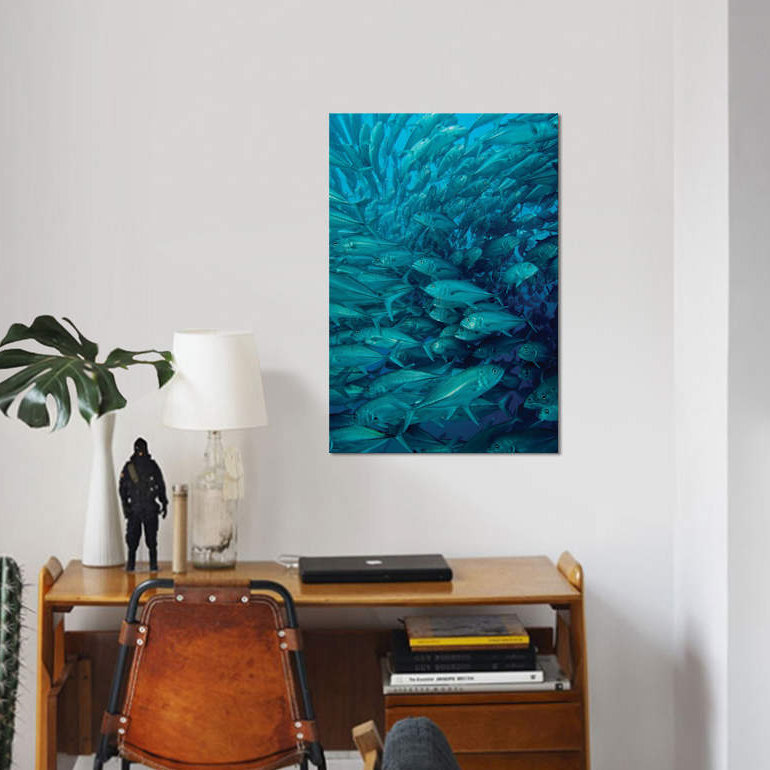 « oceany whitetip requining a group of fish », reproduction de photo sur toile, H 18 po x l 12 po x P 1,5 po, Toile tendue
