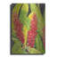 Art mural en métal «Red Tropical Flowers I» par Tim O'Toole-101683354