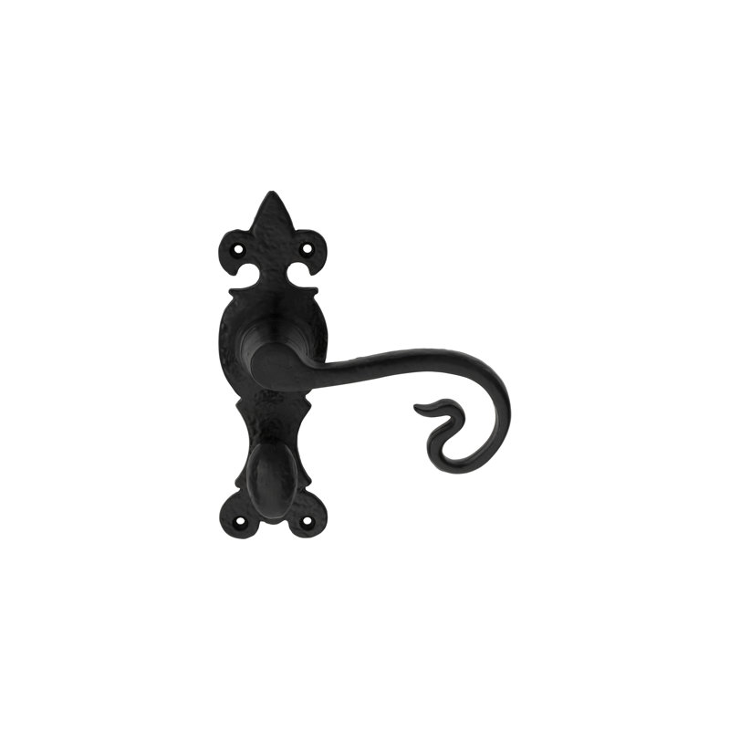 Temperence Bathroom Door Handle