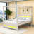 Queen Canopy Bed with LED Lighting and Headboard
