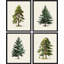 Arbre de Noël, pin, art, gros plan, impression encadrée sur papier, 4 pièces-97782596-97782599