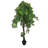 62.99'' Faux Bonsai Tree in Ceramic Pot