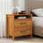 Allysyn 22.7" 2 Drawer Nightstand-903089212-931287793