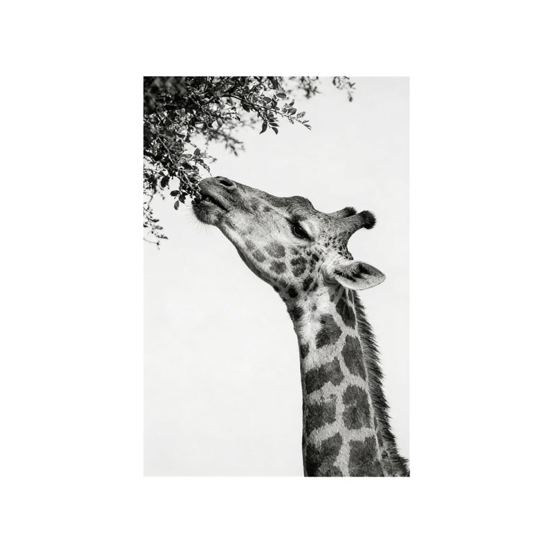 Art mural sur toile 24 "x 36" noir et blanc