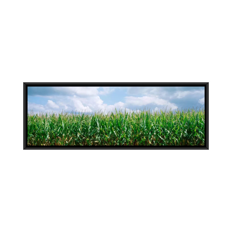« clouds over a corn field, illinois », reproduction de photo sur toile, H 12 po x l 36 po x P 1,5 po, Cadre noir