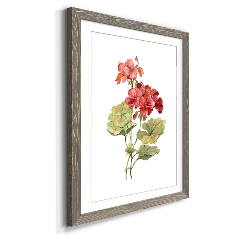 Écarlate géranium - Reproduction d'art sur papier encadrée, gris, H 37,5 po x l 27,5 po x P 1,5 po