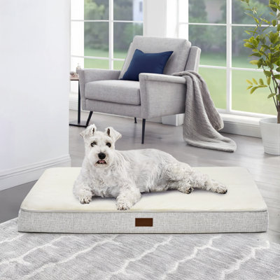Lit orthopédique pour chien avec tapis antidérapant