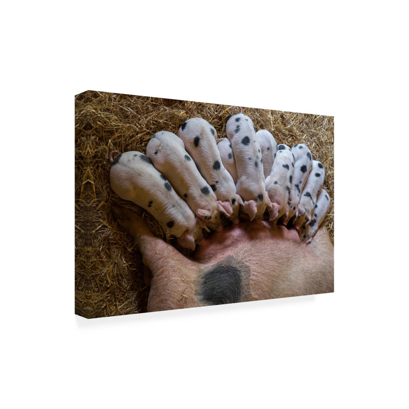 Art sur toile Gert Van Den, H 12 po x l 19 po