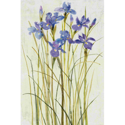 Iris Patch I