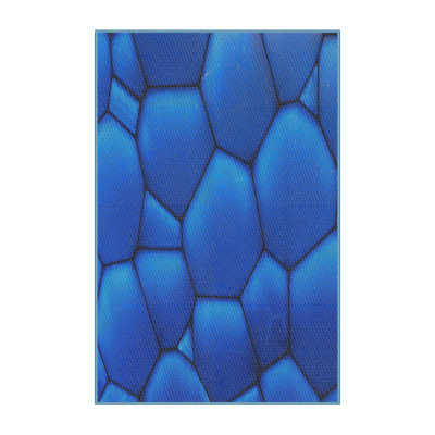 Abstract Indoor Rug