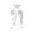 Bath & Laundry Electric Massager Patent Diagram-1877425882