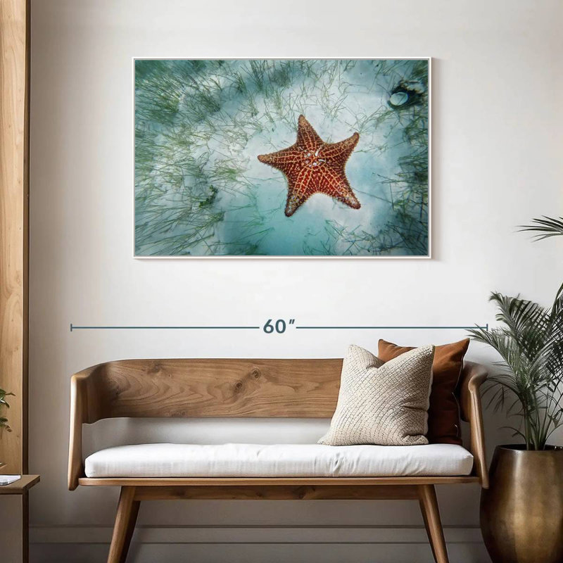 Étoile de mer peu profonde, Cadre flottant blanc, 43 po x 29 po