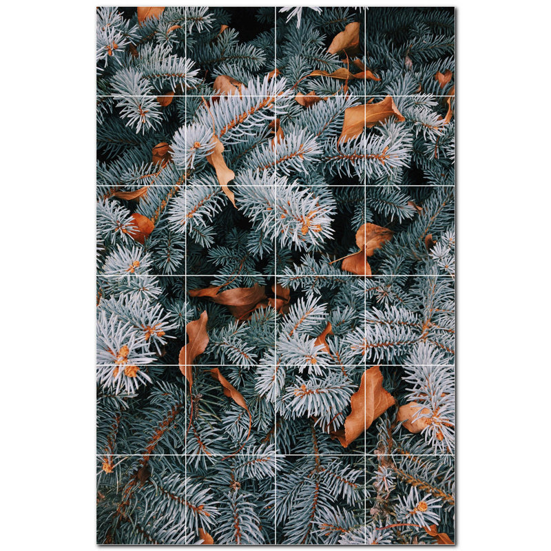 Photo d'hiver 4,25 x 4,25