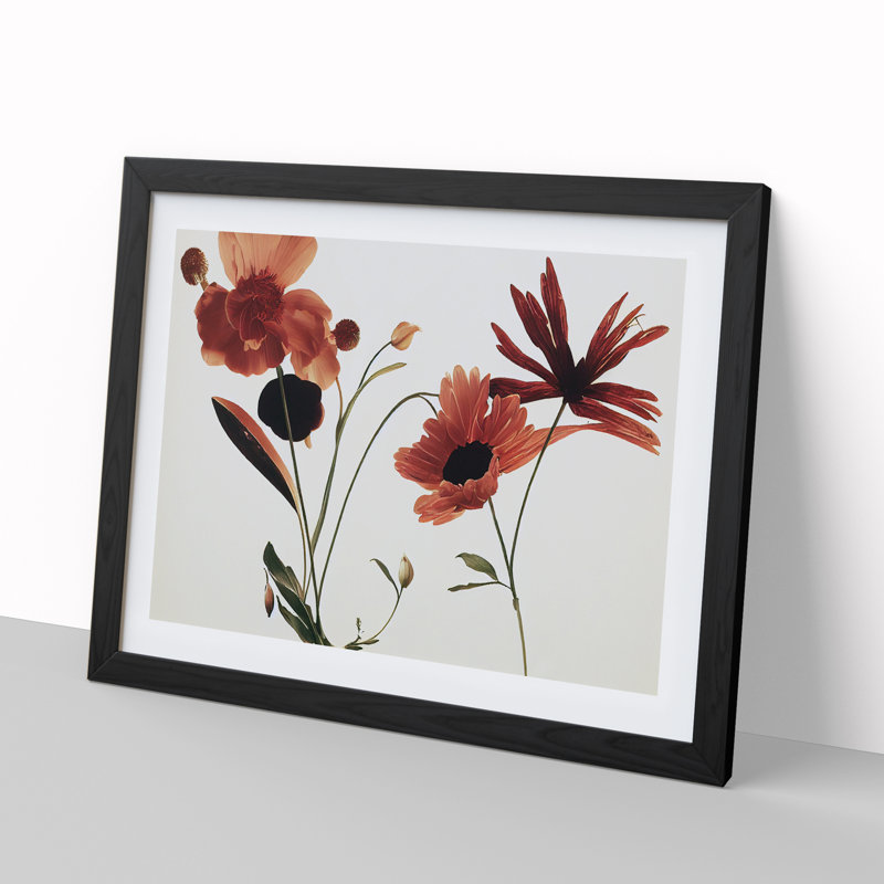 Entrancing Flowers - Framed Print, Black, 46cm H x 64cm W