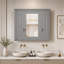 W H Medicine Cabinet Mirror-572574024