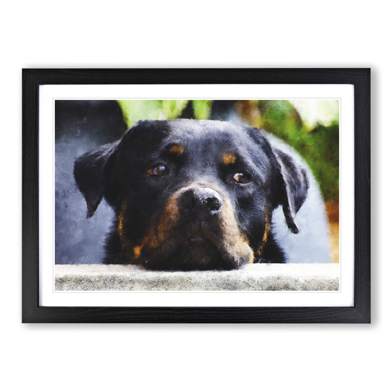 Rottweiler Dog - Picture Frame Graphic Art, Black Framed, 27cm H x 36cm W x 2cm D