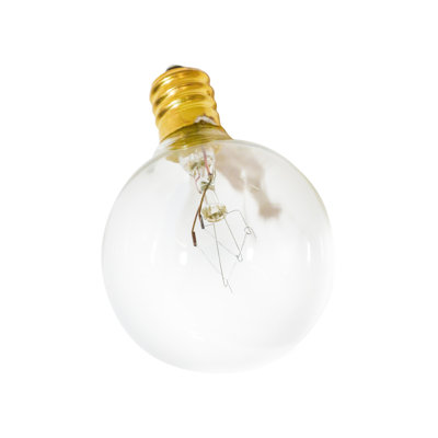 Gustave Indoor 10 - Bulb 12'' Plug-in Globe String Light