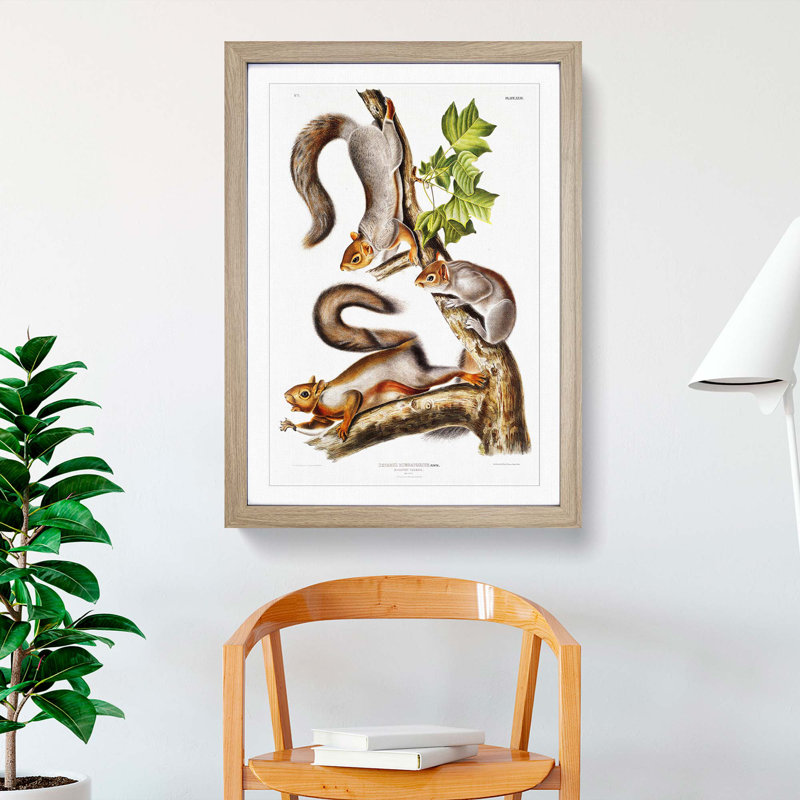Migratory Squirrels by J.W. Audubon - Picture Frame Painting Print, 87cm H x 62cm W, Oak Framed