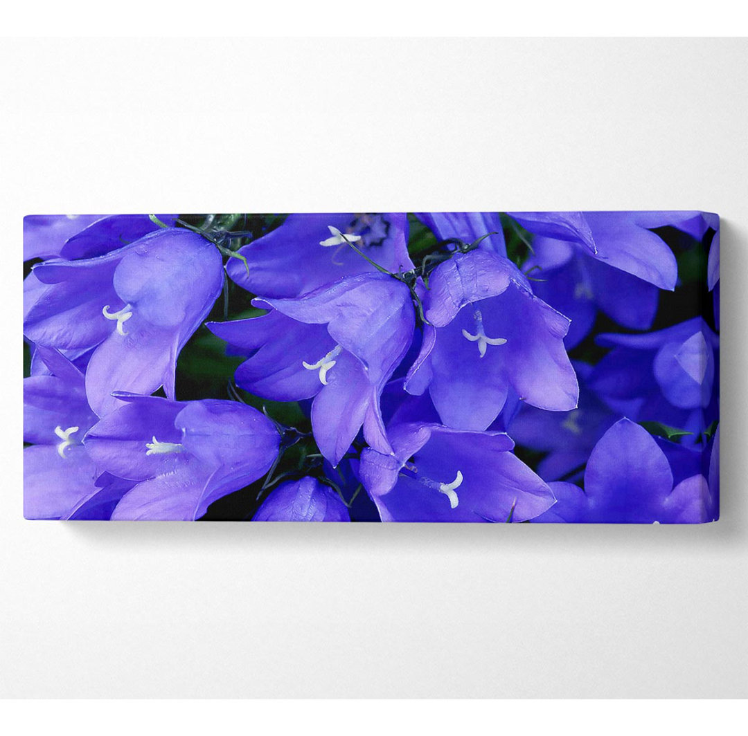 Purple Bluebells - Kunstdrucke auf Segeltuch