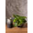 David Ceramic Pot Planter