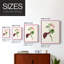 «Pretty Pink Botanicals VI», reproduction encadrée - bois massif-483493232-483493234