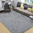 Alarick Indoor Rug