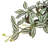 Artificial Vine Ruscus Leaf Hanging Plant