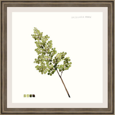 « aquarelle leaf study iii », reproduction de peinture à l’aquarelle encadrée