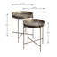 2 Piece Side Table Set