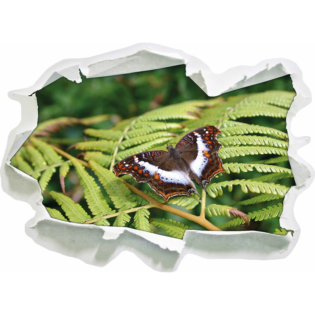 Wandtattoo Zarter Schmetterling auf Farnblatt