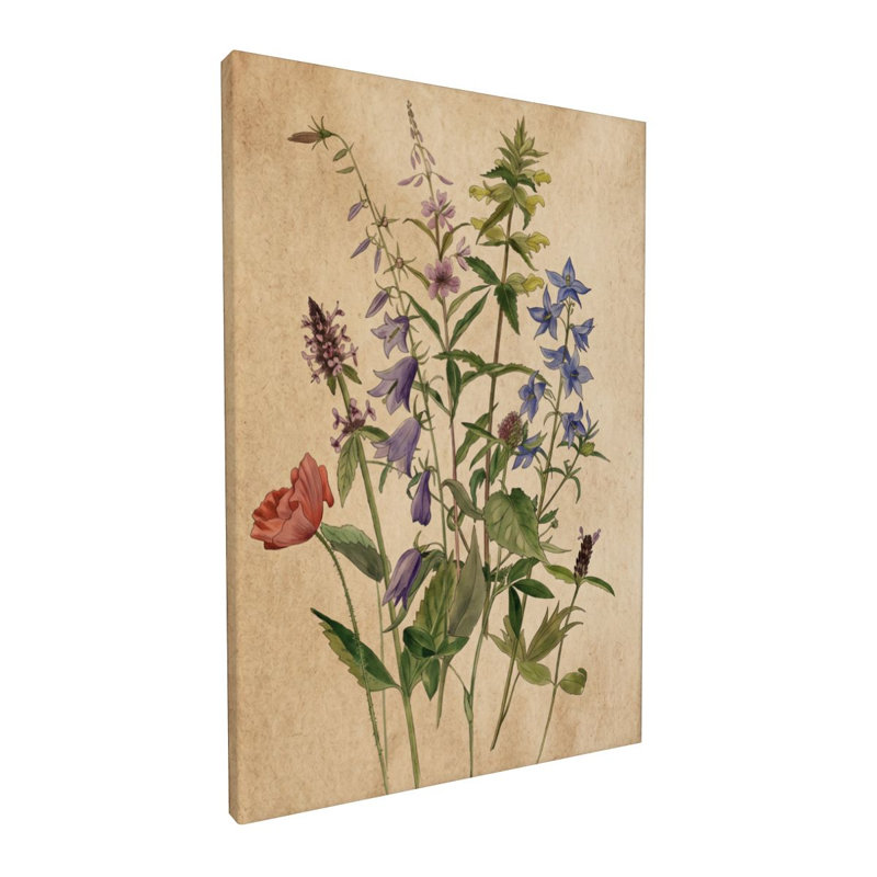 Vintage Botanical Study Framed Canvas Wall Decor
