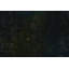 Tapis unique 7 pi 9 po x 11 pi Gavyne