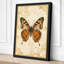 Painted Lady Study Botanical - Wrapped Canvas-84781321-84781327