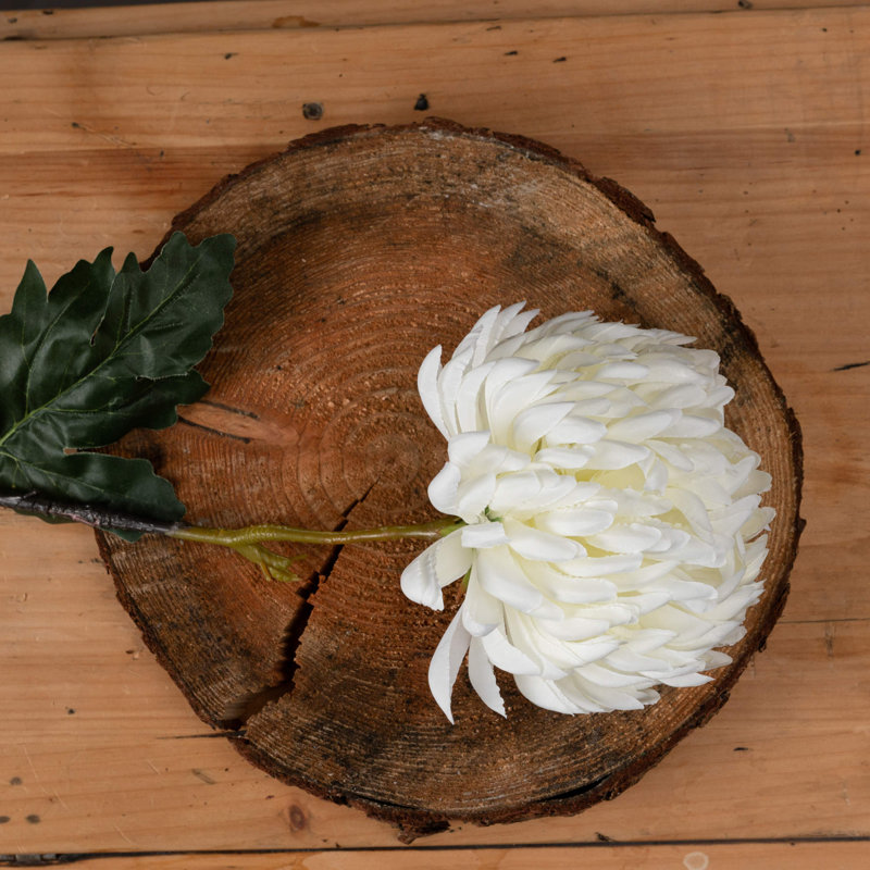 Anastasija Arrangement